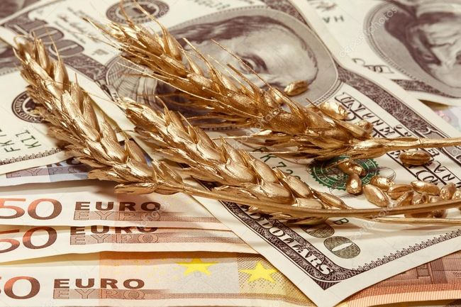 Заборона Польщі на імпорт агропродукції коштувала Україні $143 млн – Мінекономіки