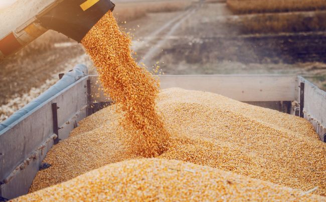 Молдова відмовилася від планів обмежити імпорт зерна з України