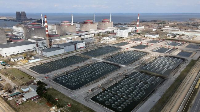 Украина может вернуть АЭС без применения силы - глава Энергоатом Котин
