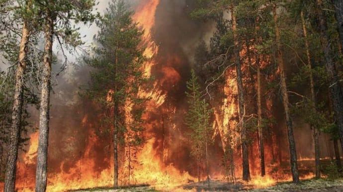 З 8 червня у лісах Харківської області очікується надзвичайна пожежна небезпека