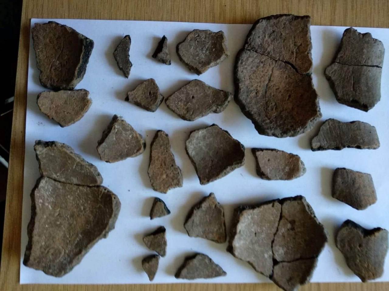 Понад 3 тисячі років. Археологи знайшли рідкісне поховання родини під Харковом