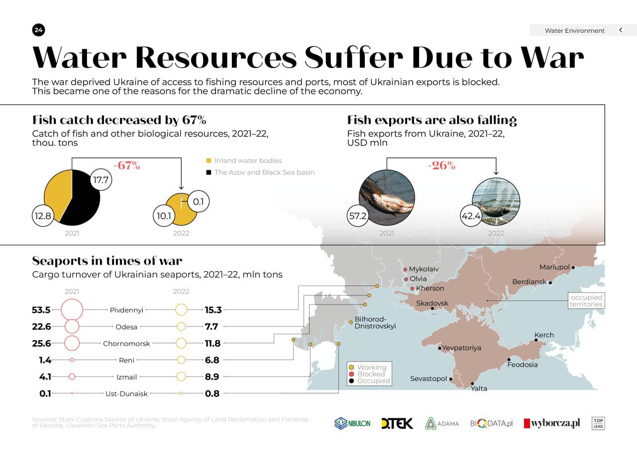Нове інфографічне дослідження Russia-Ukraine War: Environmental Impact