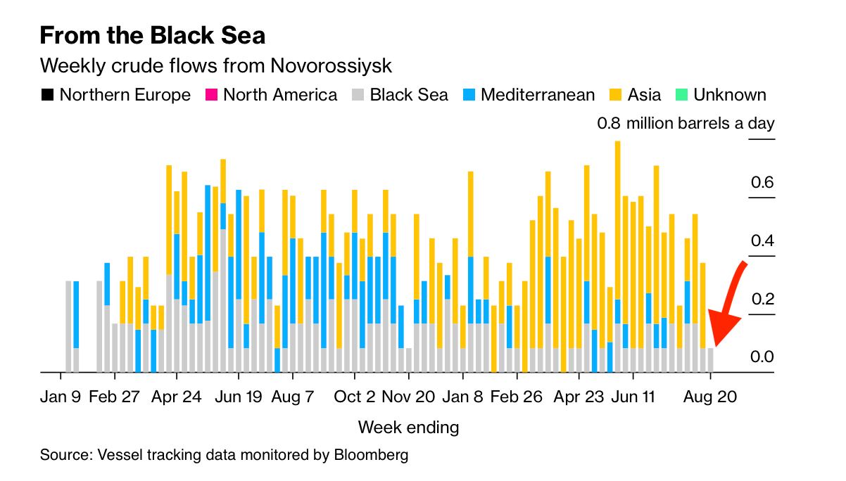 Экспорт российской нефти по Черному морю практически остановился после ударов Украины