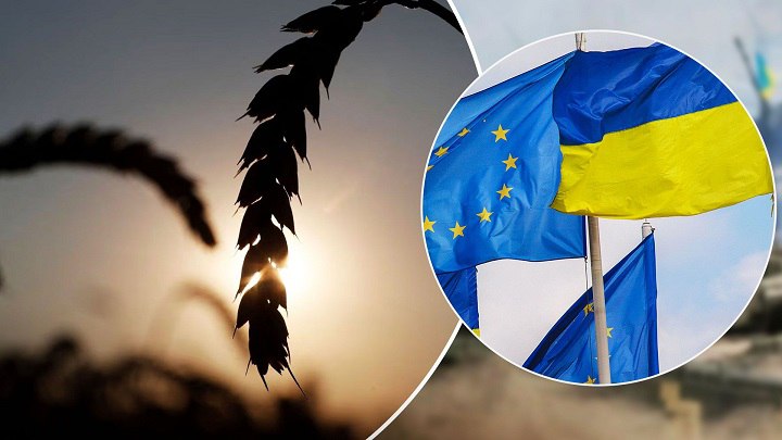 Єврокомісія не продовжила заборону на імпорт українського зерна після 15 вересня.
