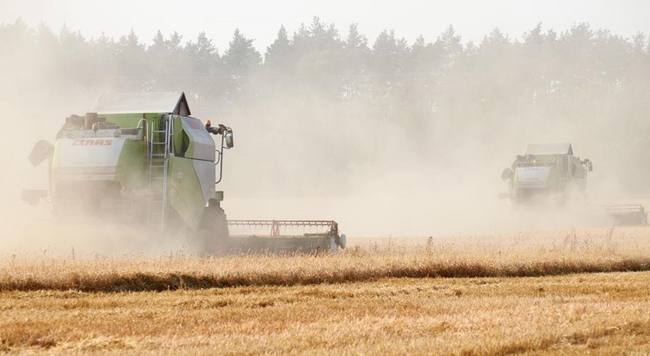 Gazeta Wyborcza: Міністри сільського господарства України та Польщі провели гарні перемовини щодо експорту зерна