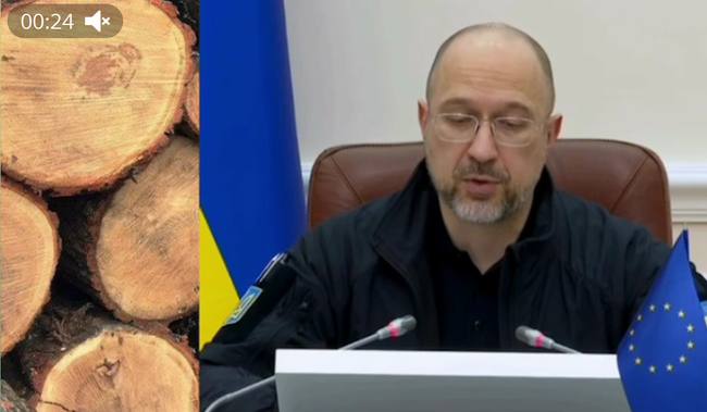 Украинцам будут выплачивать до 16 тысяч грн на закупку дров, - премьер-министр Шмыгаль