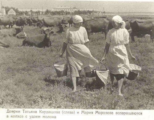 Знаєте, чому селяни і в СРСР рубали фруктові дерева?