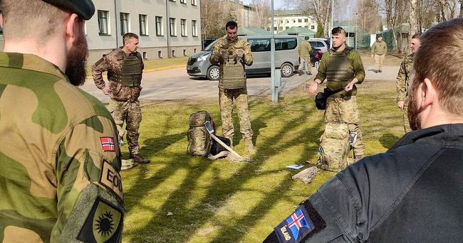 Ісландія допоможе Україні з розмінуванням — Міноборони України