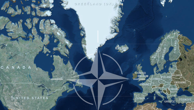 Отставные генералы НАТО нарушили тёплую негу сбалансированной повестки накануне 75-й годовщины Североатлантического альянса.