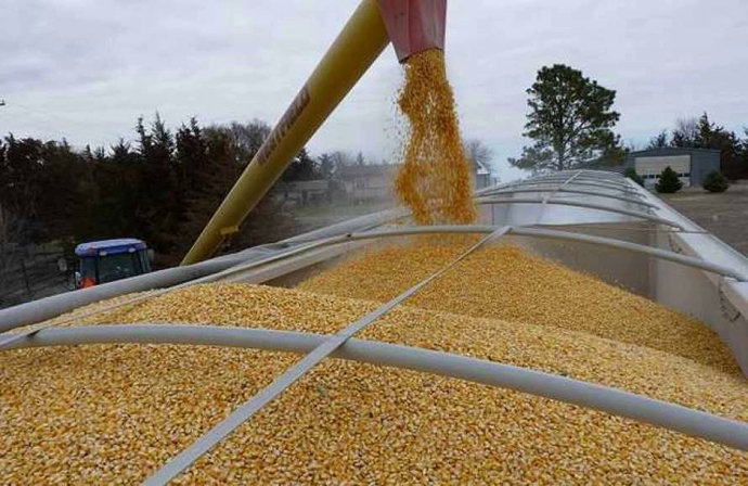 Вкрадене росією: Україна обговорює застосування системи визначення походження зерна