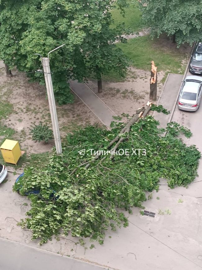 Вчора у Харкові був вітерець (ФОТО)