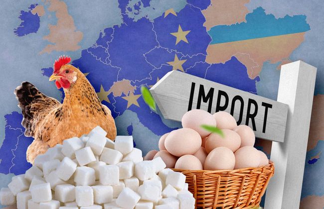 ЗМІ: ЄС відновить мита на українські яйця та цукор