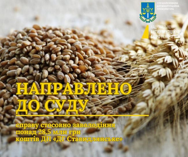 Заволодіння понад 28,5 млн грн коштів ДП «ДГ Ставидлянське»: справу направлено до суду