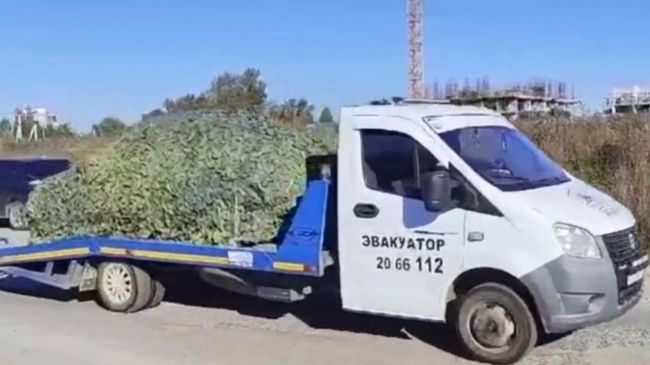 На росії підірвали воєнних злочинців — загарбники задіювали авіацію