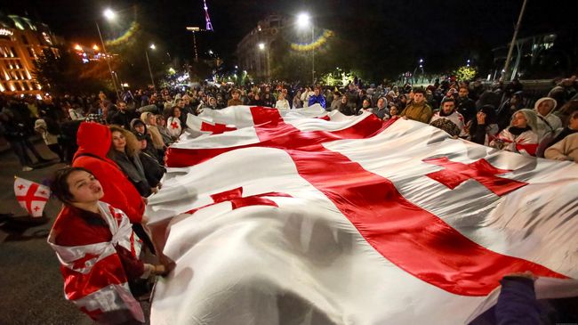 Суд у Грузії відхилив позови опозиції щодо підсумків виборів