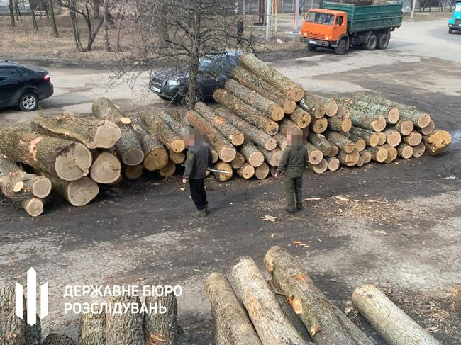 На Сумщині судитимуть посадовців лісгоспу, через яких держава втратила майже 11 млн гривень