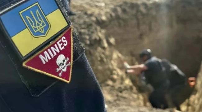 Мінекономіки хоче залучити додаткові кошти для розмінування лісів та водойм