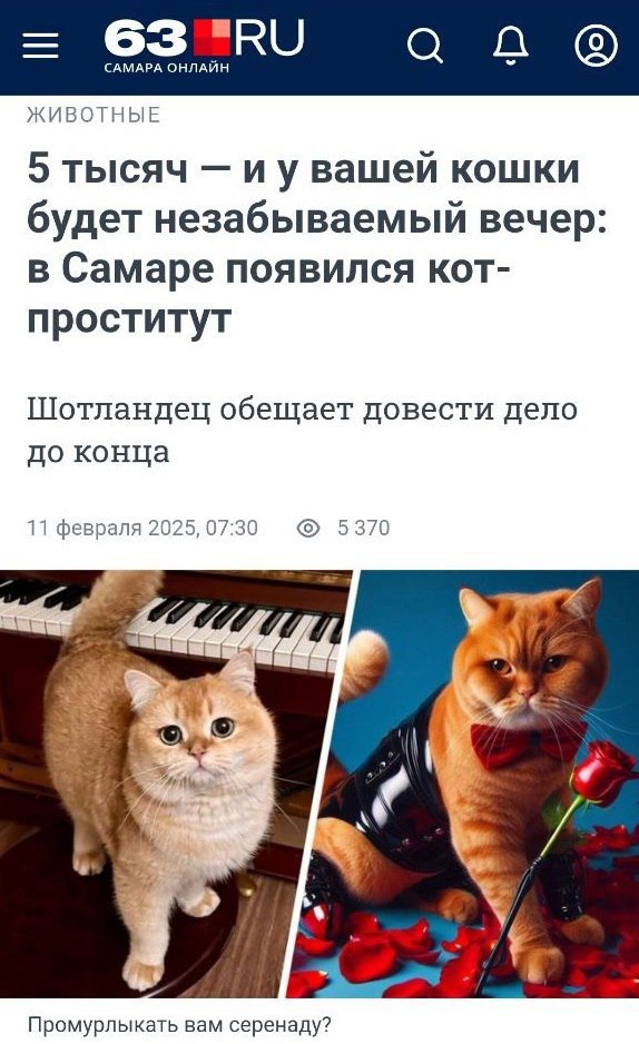Новини