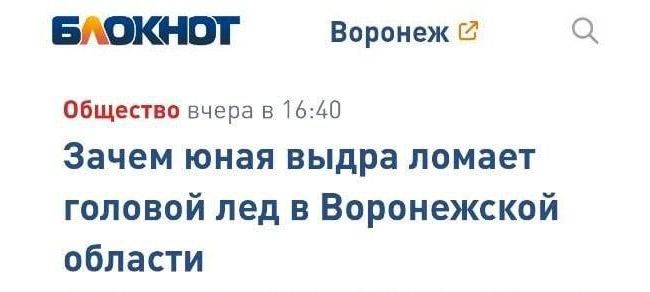 Новини