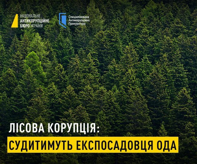 Лісова корупція на Дніпропетровщині: судитимуть ексзаступника голови ОДА