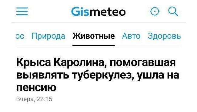 Новини одним рядком