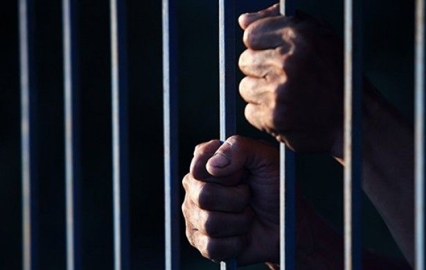 Колаборанти втікають, а окупанти продовжують грабувати!