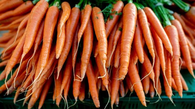 На українському ринку морква коштує в 3,5 рази дорожче, ніж рік тому