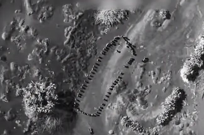 Трамп показав відео авіаудару США по єменських хуситах