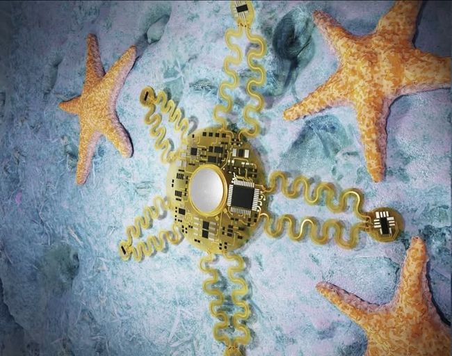 Новини з іншого світу