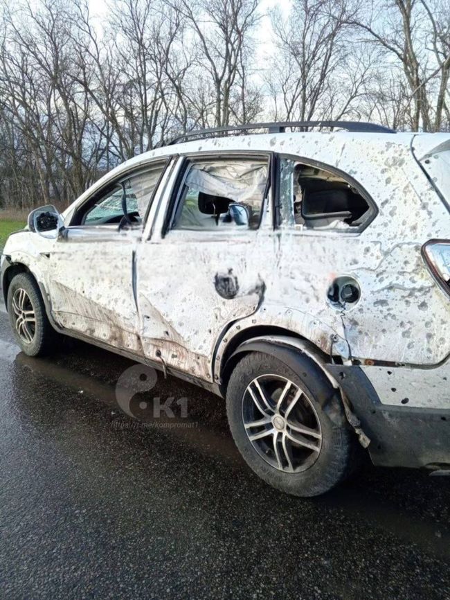 Фемида на болотах серьезна до безумия