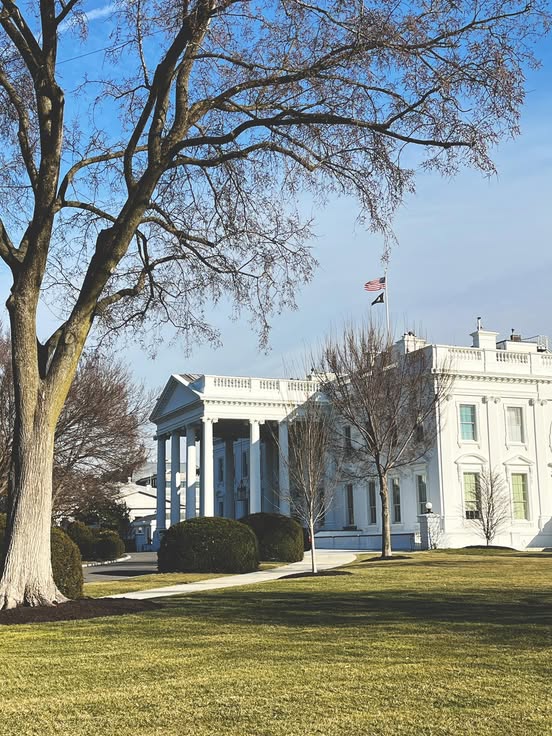 Позначка “перші 100 днів Дональда Трампа на посаді” щодня стає ближчою