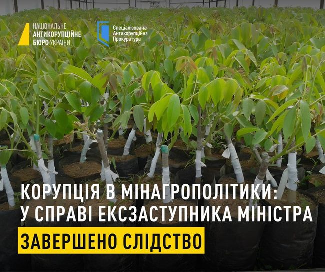 Завершено слідство у справі стосовно колишнього заступника Міністра агрополітики