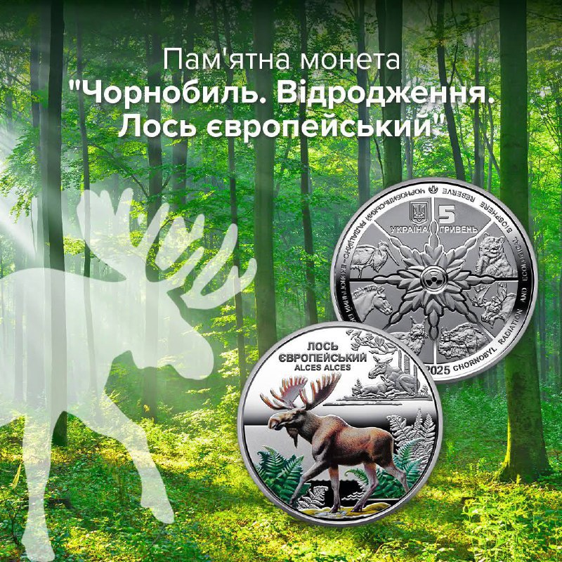 НБУ випустив пам’ятну монету Чорнобиль. Відродження. Лось європейський