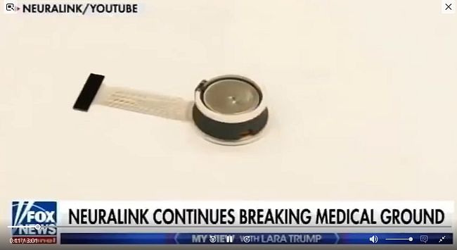 Ілон Маск збирається повернути сліпим зір уже протягом року