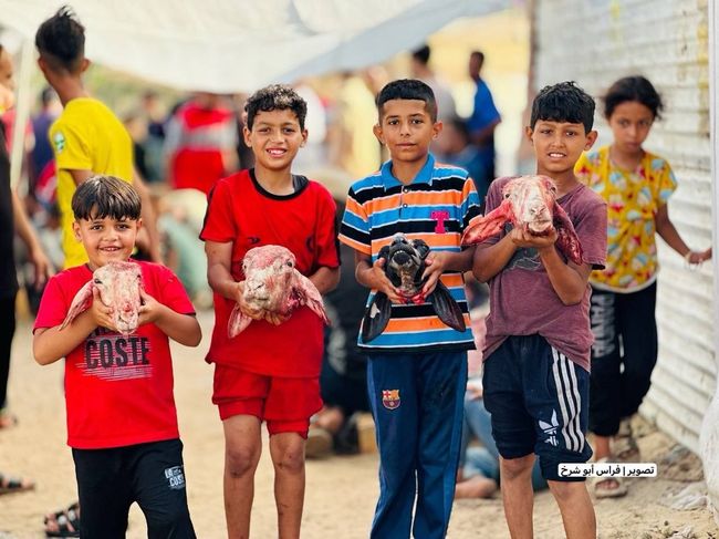 Жители Газы как “живой щит” ХАМАСа: отчет Henry Jackson Society