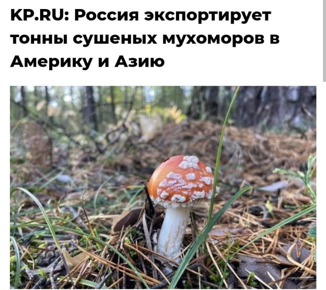 Новини одним рядком