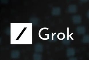 Штучний інтелект Ілона Маска зійшов з розуму й розповідає всім про геноцид білої раси