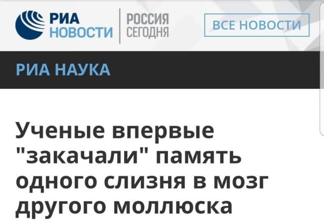 Новини одним рядком