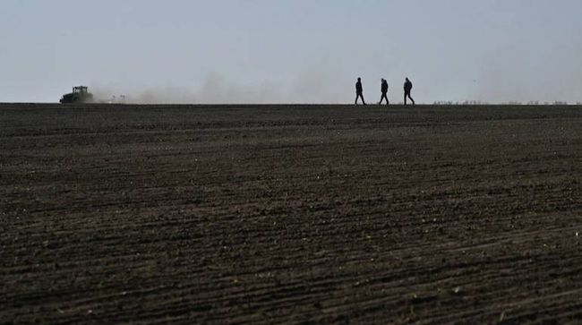 СБУ викрила 176 громадян рф, які незаконно володіли сільськогосподарськими ділянками на Київщині загальною площею майже 100 гектарів