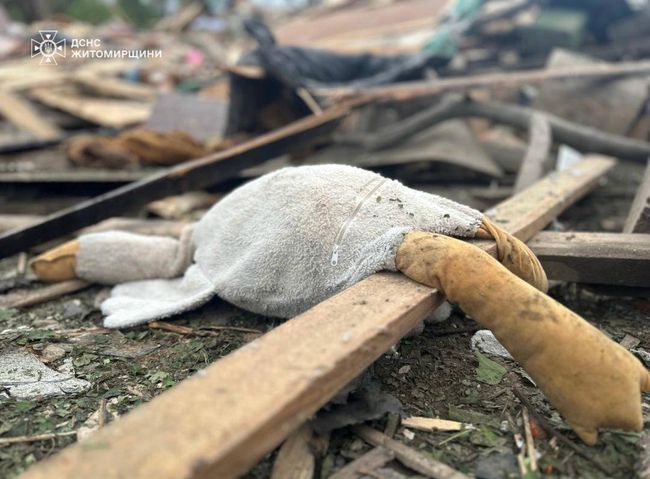 На Житомирщині внаслідок атаки російських терористів загинули три дитини, 12 людей постраждало — ДСНС