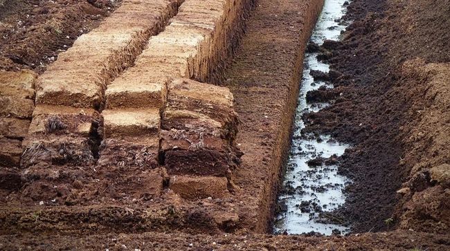 Користування надрами: фірма екснардепа відсудила гроші за провальний аукціон