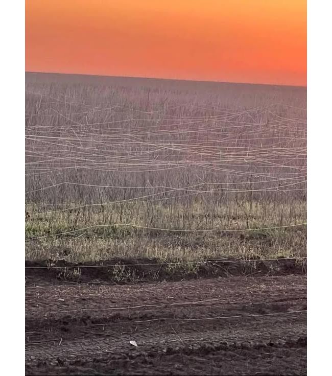 Новини одним рядком Новини одним рядком