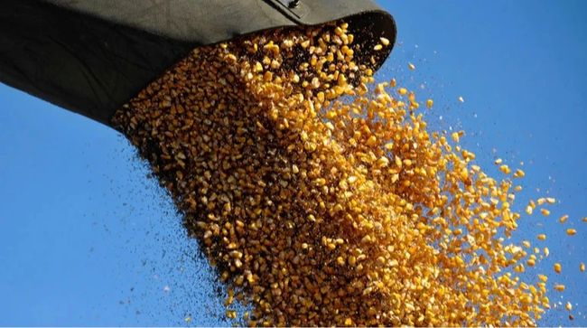 Україна експортувала понад 38 мільйонів тонн зерна