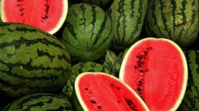 Україна відновлює довоєнні обсяги експорту кавунів до ЄС