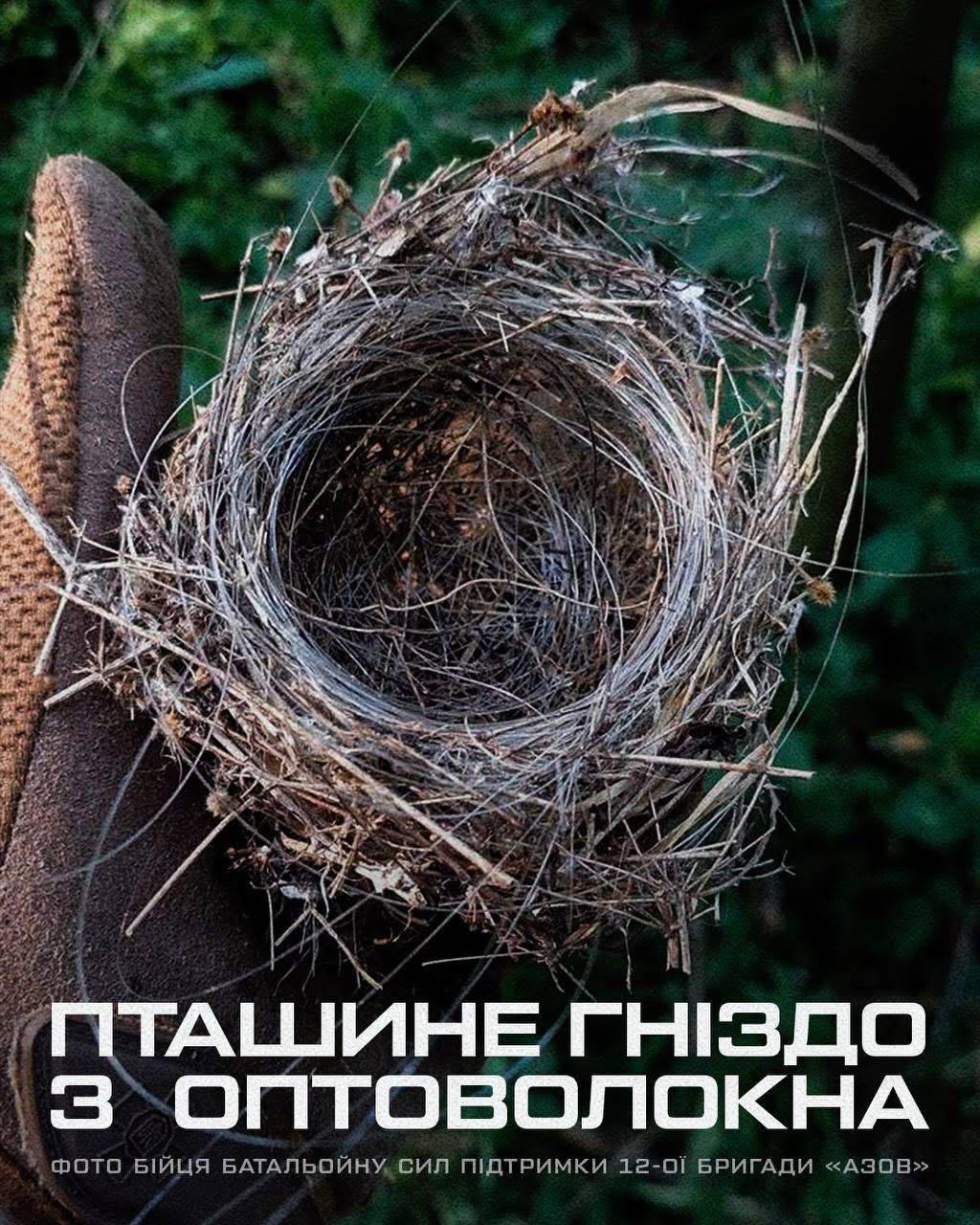 Адаптація природи до війни - гніздо з оптоволокна