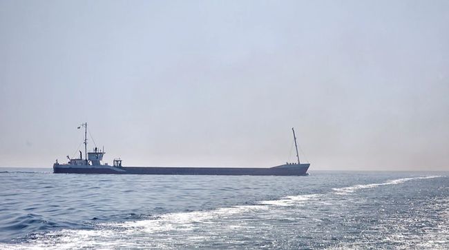 Товарообіг України склав майже $50 мільярдів: що найбільше продаємо та купуємо