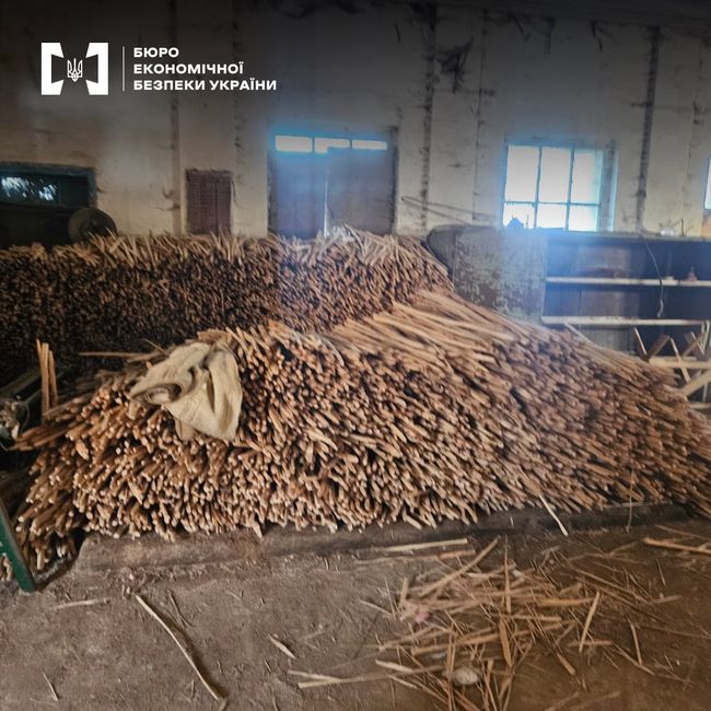 Детективи ТУ БЕБ у Львівській області викрили незаконне переміщення лісоматеріалів за кордон