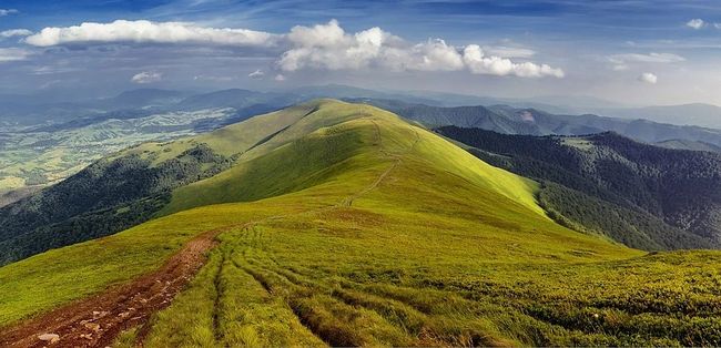 АРМА вдруге намагається продати 494 арештовані земельні ділянки полонини Боржава на Закарпатті