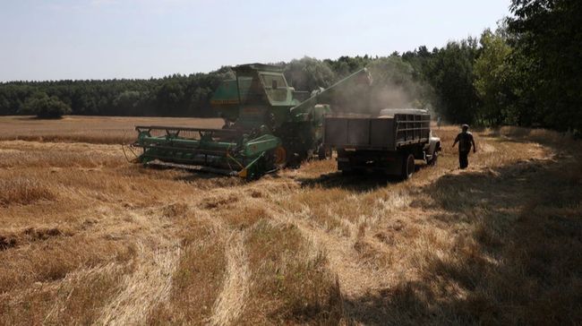 В Україні почали збір врожаю ячменю, пшениці, гороху та ріпаку: перші результати