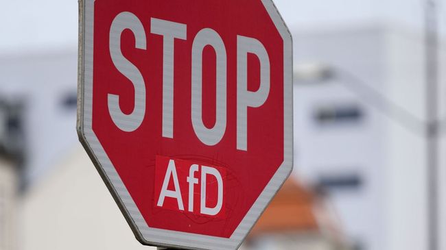 Німецькі соціал-демократи ініціювали процедуру заборони ультраправої Альтернатива для Німеччини — Bild